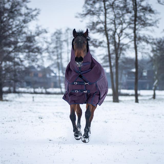 Rug Horsegear Extreme 300g Purple-Blue