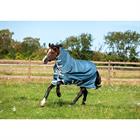 Rug Horseware Amigo Ameco 12 Plus 0 g Dark Grey