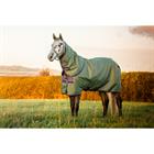 Rug Horseware Amigo Hero Plus Med 200gr Pony Green
