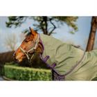 Rug Horseware Amigo Hero Plus Med 200gr Pony Green