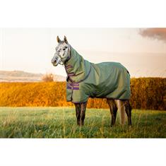 Rug Horseware Amigo Hero Plus Med 200gr Pony Green