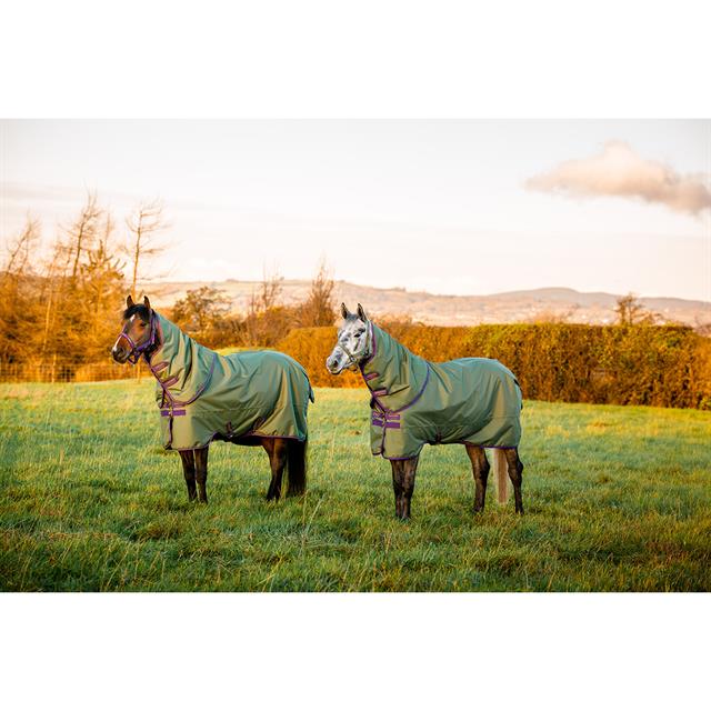 Rug Horseware Amigo Hero Plus Med 200gr Pony Green