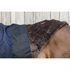 Rug Kentucky All Weather Pro 160gr Dark Blue