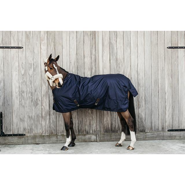 Rug Kentucky All Weather Pro 160gr Dark Blue