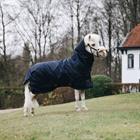 Rug Kentucky All Weather Waterdicht Pro 300gr Tiny Dark Blue