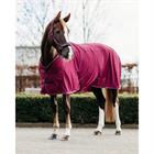 Rug QHP Coolmesh Astana Dark Red