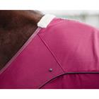 Rug QHP Coolmesh Astana Dark Red