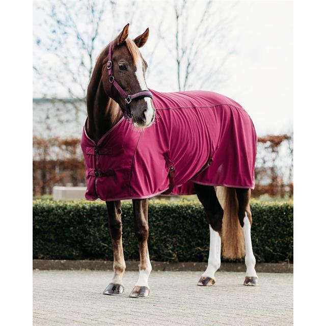Rug QHP Coolmesh Astana Dark Red