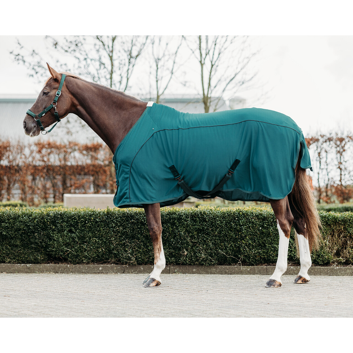 GREEN CHECK WAFFLE RUG/COOLER 4'9" TO 7'3 "by Top Horse uk 