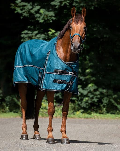 Rug QHP Turnout Collection 0gr Turquoise