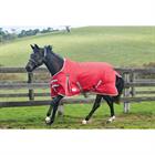 Rug Weatherbeeta Comfitec Classic 100g Red