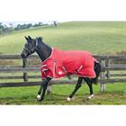 RUG WEATHERBEETA COMFITEC CLASSIC 100G Red