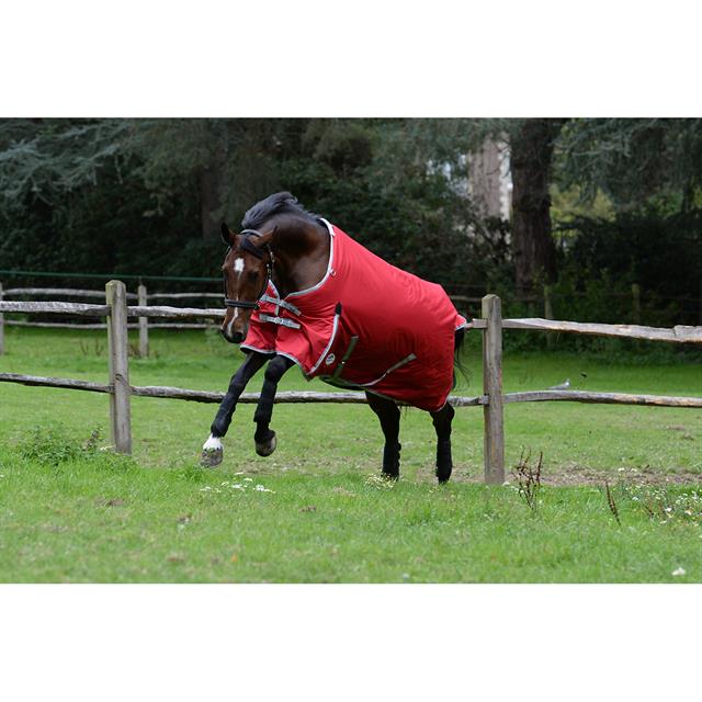 Rug Weatherbeeta Comfitec Classic 100g Red