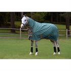 Rug Weatherbeeta Comfitec Tyro Combo 220gr Green