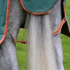 Rug Weatherbeeta Comfitec Tyro Combo 220gr Green