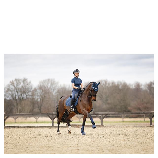 Saddle Pad ANKY 3C Dressage Dark Blue