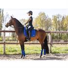 Saddle Pad Anky Anatomic Tech Mid Blue