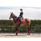 Saddle Pad Anky Anatomic Tech Red