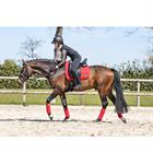 Saddle Pad Anky Anatomic Tech Red