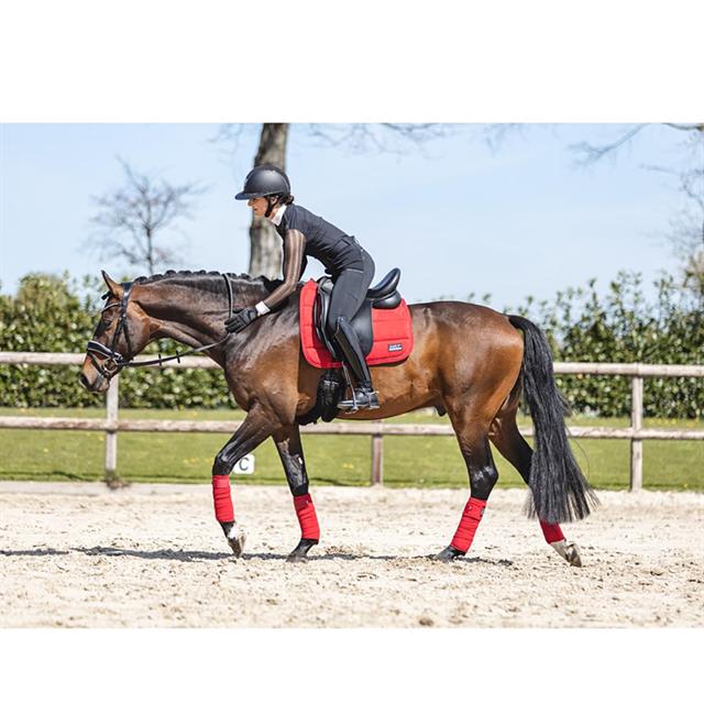Saddle Pad Anky Anatomic Tech Red