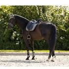 Saddle Pad BR Event Grey