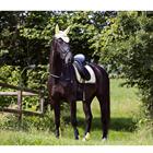 Saddle Pad BR Event Light Yellow