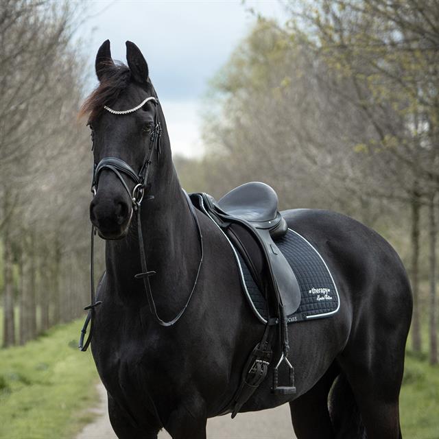 Saddle Pad Bucas Therapy Limited Edition Black