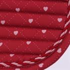 Saddle Pad Dressage Epplejeck EJValentine Red