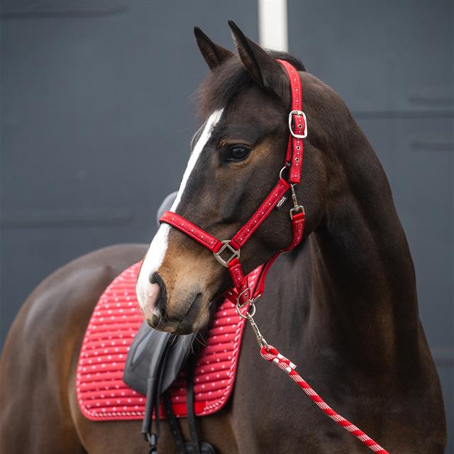 Saddle Pad Dressage Epplejeck EJValentine Red