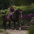 Saddle Pad Equestrian Stockholm Purple White Edge Purple