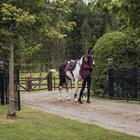 Saddle Pad Equestrian Stockholm Purple White Edge Purple