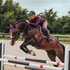 Saddle Pad Equestrian Stockholm Purple White Edge Purple