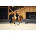 Saddle Pad Eskadron Platinum Pro Soft Dressage Yellow
