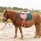 Saddle Pad Harry's Horse LouLou Canyon Pink