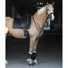 Saddle Pad Horsegear Bayesa Black