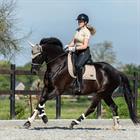 Saddle Pad HORSEGEAR HGFarnham Beige