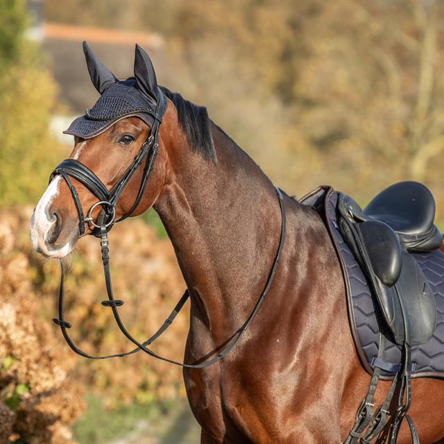 Saddle Pad HORSEGEAR HGWareham Dressage Dark Blue