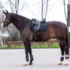 Saddle Pad Hv Polo Hvpessential Dr Black
