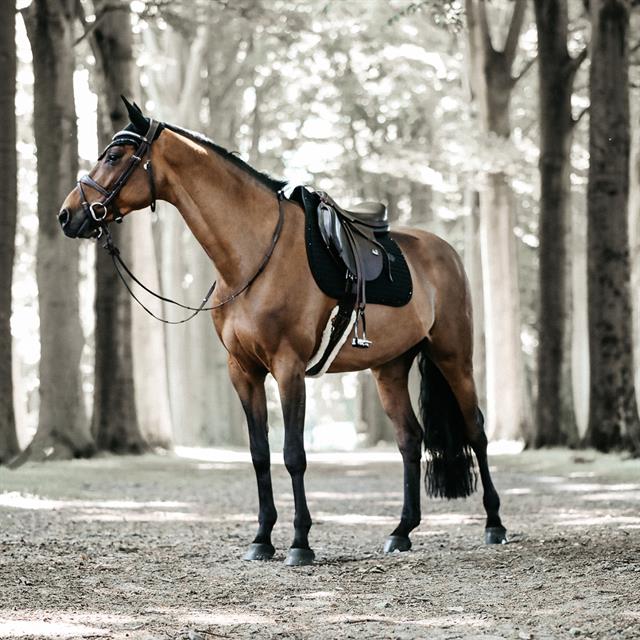 Saddle Pad Kentucky Pearls Jumping Black