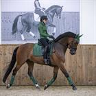 Saddle Pad LeMieux Loire Classic Satin Ds Green