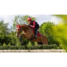 Saddle Pad LeMieux Loire Square Close Contact Red