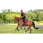 Saddle Pad LeMieux Loire Square Close Contact Red