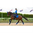 Saddle Pad LeMieux Loire Square Dressage Blue