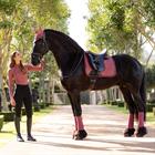 Saddle Pad LeMieux Luxury Suede Dark Pink