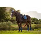 Saddle Pad LeMieux Luxury Suede Mid Blue