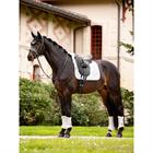 Saddle pad LeMieux Merino+ Half Lined Dressage White-White