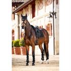 Saddle pad LeMieux Merino+ Half Lined Suede Dressage Black