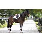 Saddle Pad LeMieux Prosorb Plain 2 Pocket Close Contact White