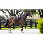 Saddle Pad LeMieux Prosorb Plain 2 Pocket Gp Square Black
