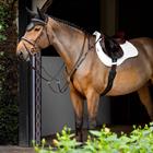 Saddle Pad LeMieux Prosorb Plain 2 Pocket Gp Square White